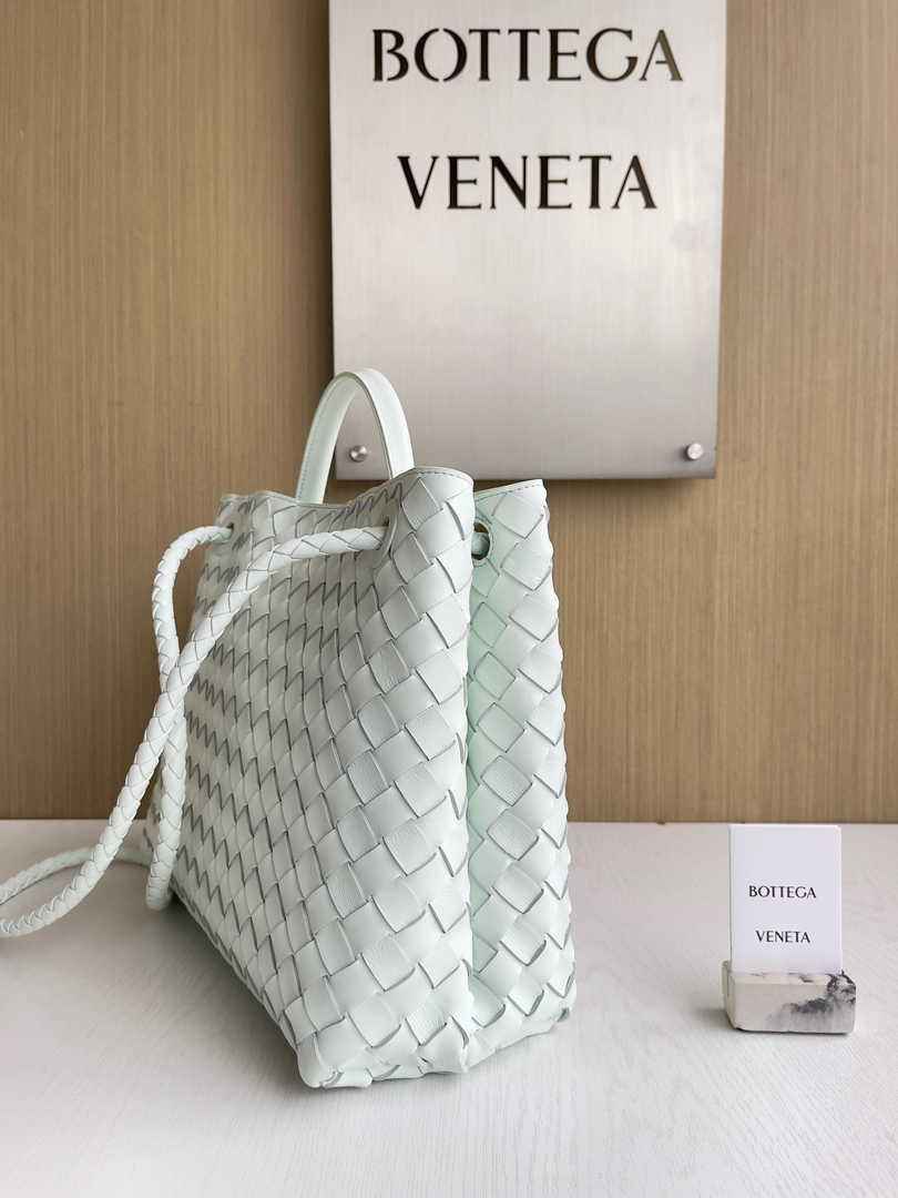 Bottega Veneta Medium Andiamo Bag 743572 Lambskin Light green