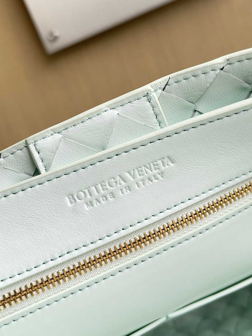 Bottega Veneta Medium Andiamo Bag 743572 Lambskin Light green