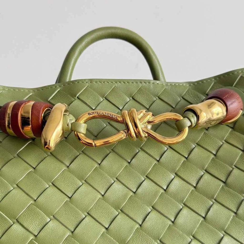 Bottega Veneta Small Andiamo Bag in 743568 Lambskin green