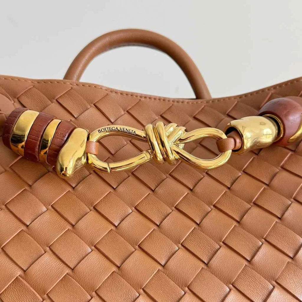 Bottega Veneta Small Andiamo Bag in 743568 Lambskin brown