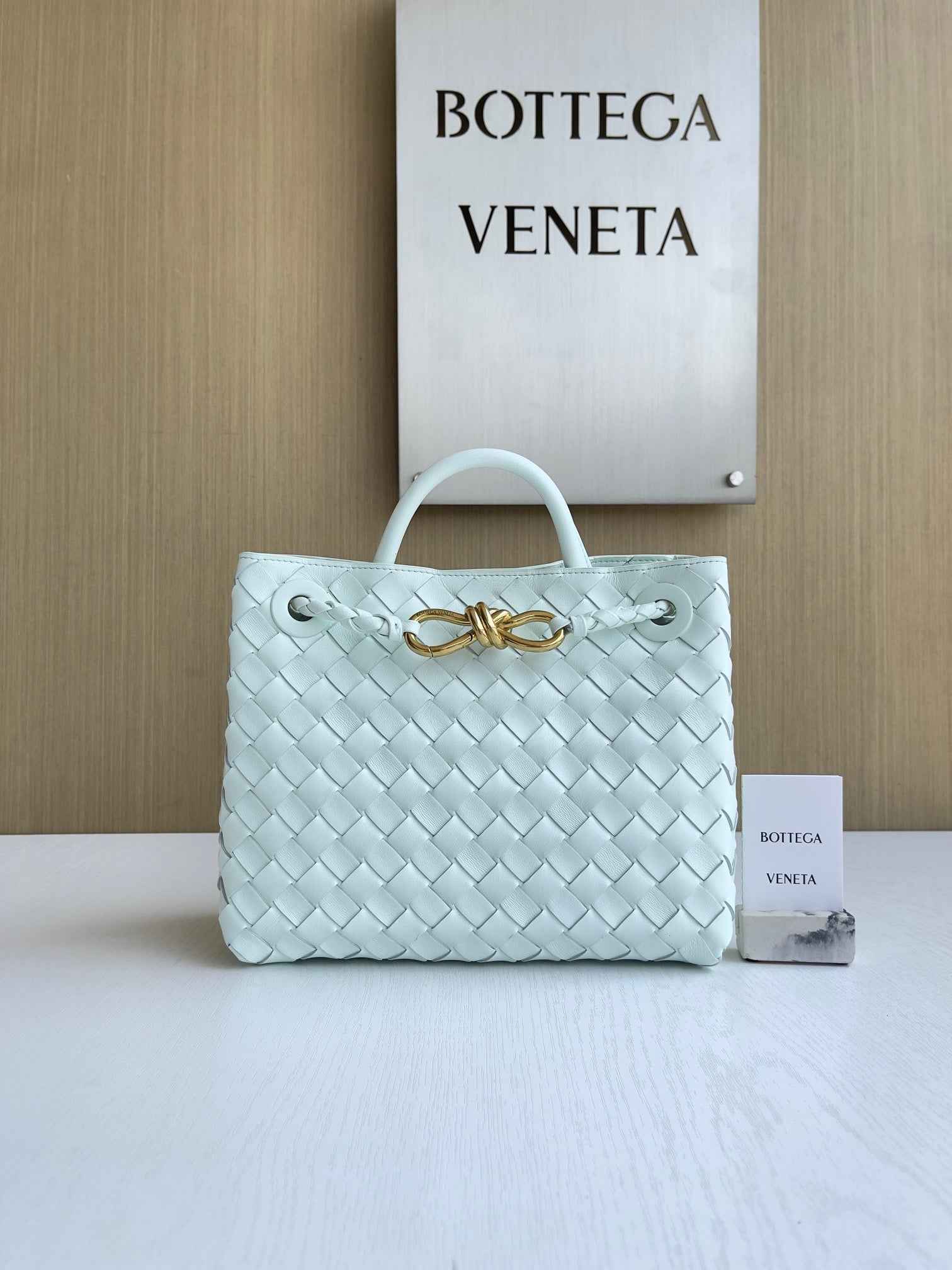 Bottega Veneta Small Andiamo Bag 743568 Lambskin Light Green