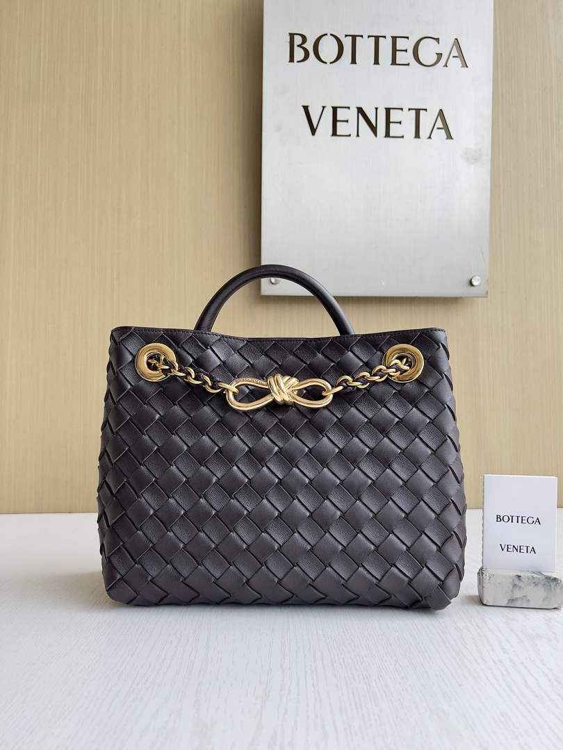 Bottega Veneta Small Andiamo Chain 786008 Lambskin Coffee