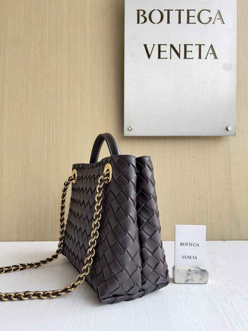 Bottega Veneta Small Andiamo Chain 786008 Lambskin Coffee