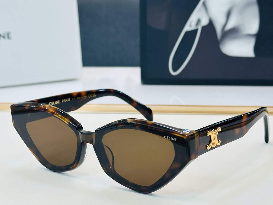 Celine Sunglasses 402513