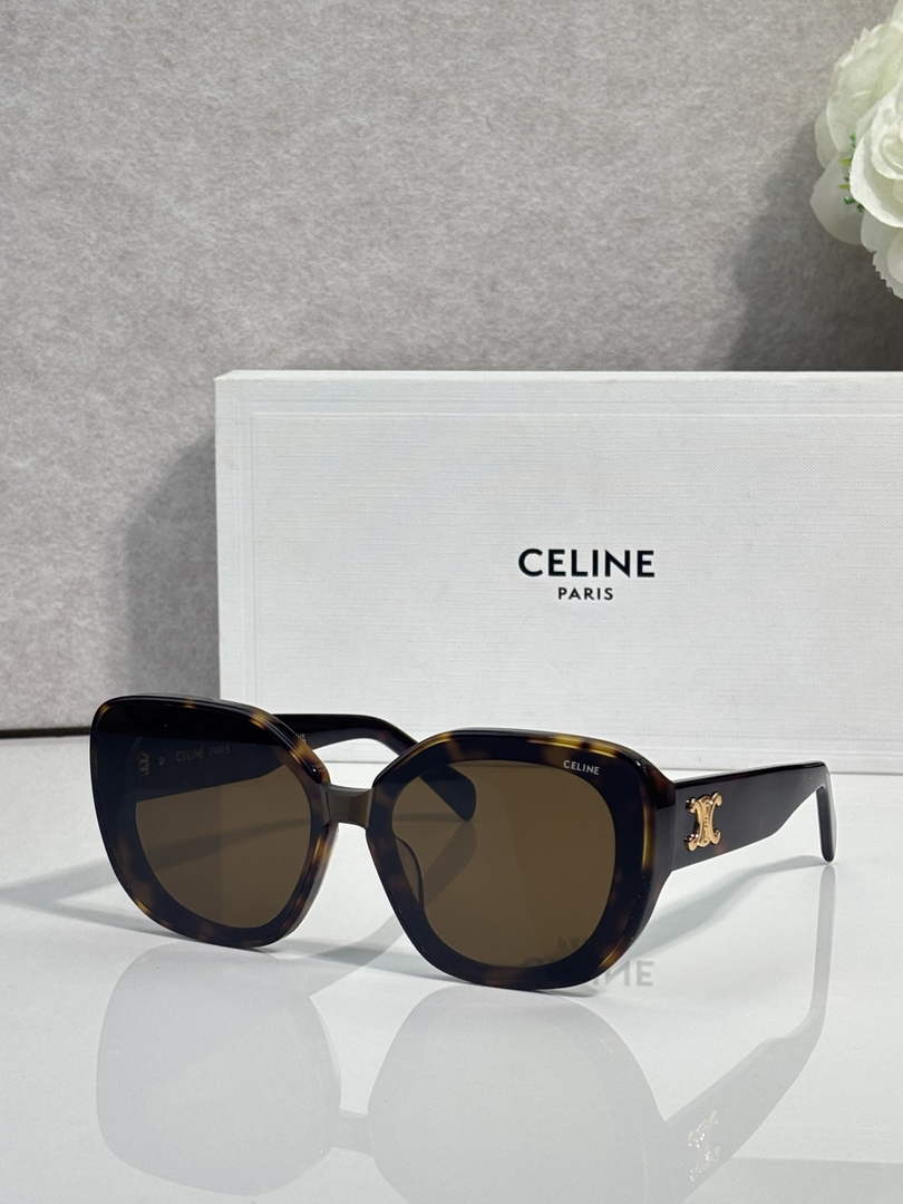 Celine Sunglasses 402522