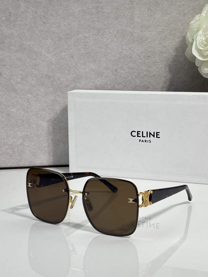 Celine Sunglasses 402538