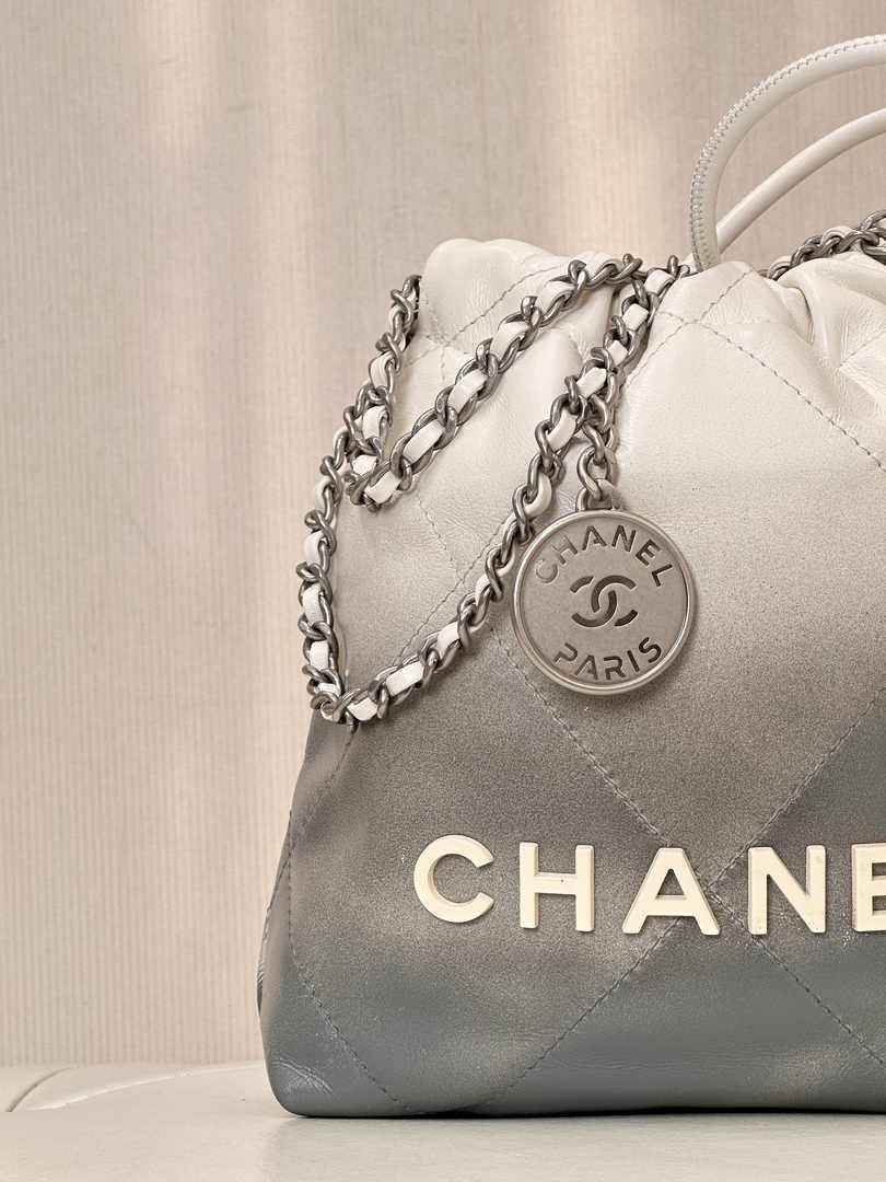 Chanel 22 Mini bag AS3980 Calfskin White Silver