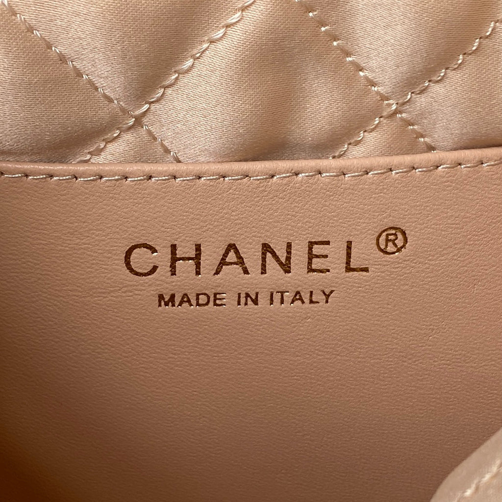 Chanel 22 Mini bag AS3980 Shiny Grained Calfskin Gold-Tone White