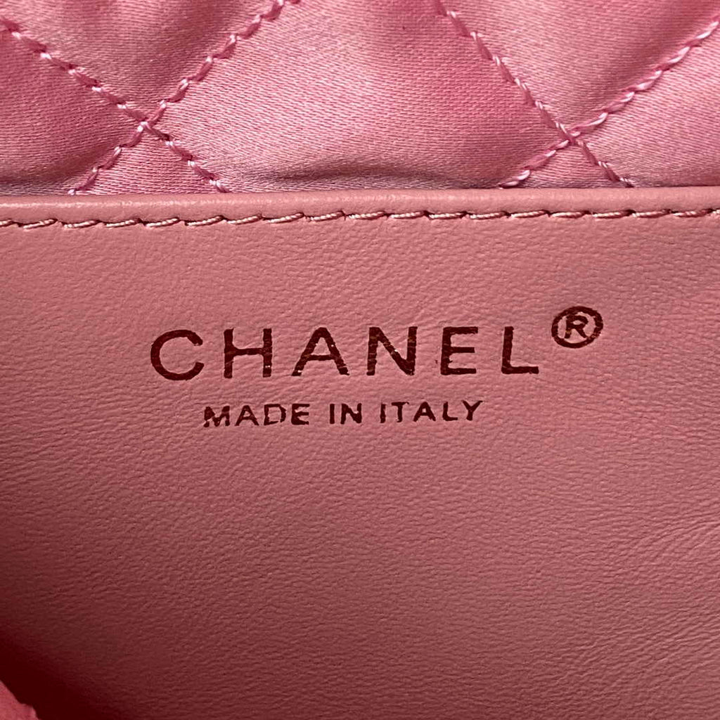 Chanel 22 Mini bag AS3980 Shiny Grained Calfskin Gold-Tone Pink