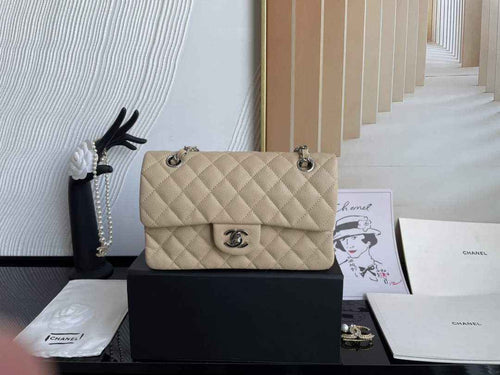 Chanel  A01113 Small Classic Handbag Grained Shiny Calfskin Apricot Silver