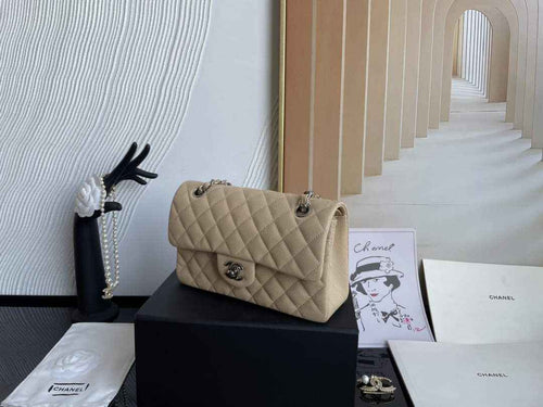 Chanel  A01113 Small Classic Handbag Grained Shiny Calfskin Apricot Silver