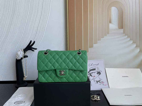 Chanel  A01113 Small Classic Handbag Grained Shiny Calfskin Green Silver