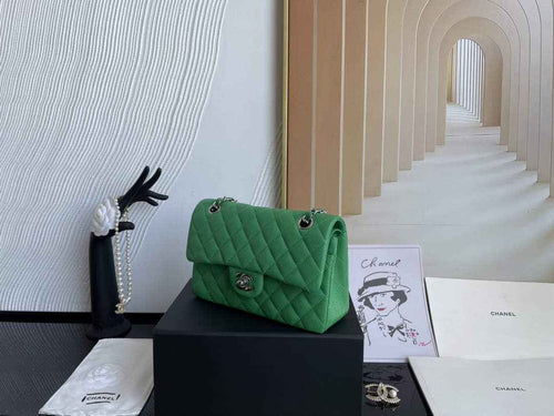 Chanel  A01113 Small Classic Handbag Grained Shiny Calfskin Green Silver
