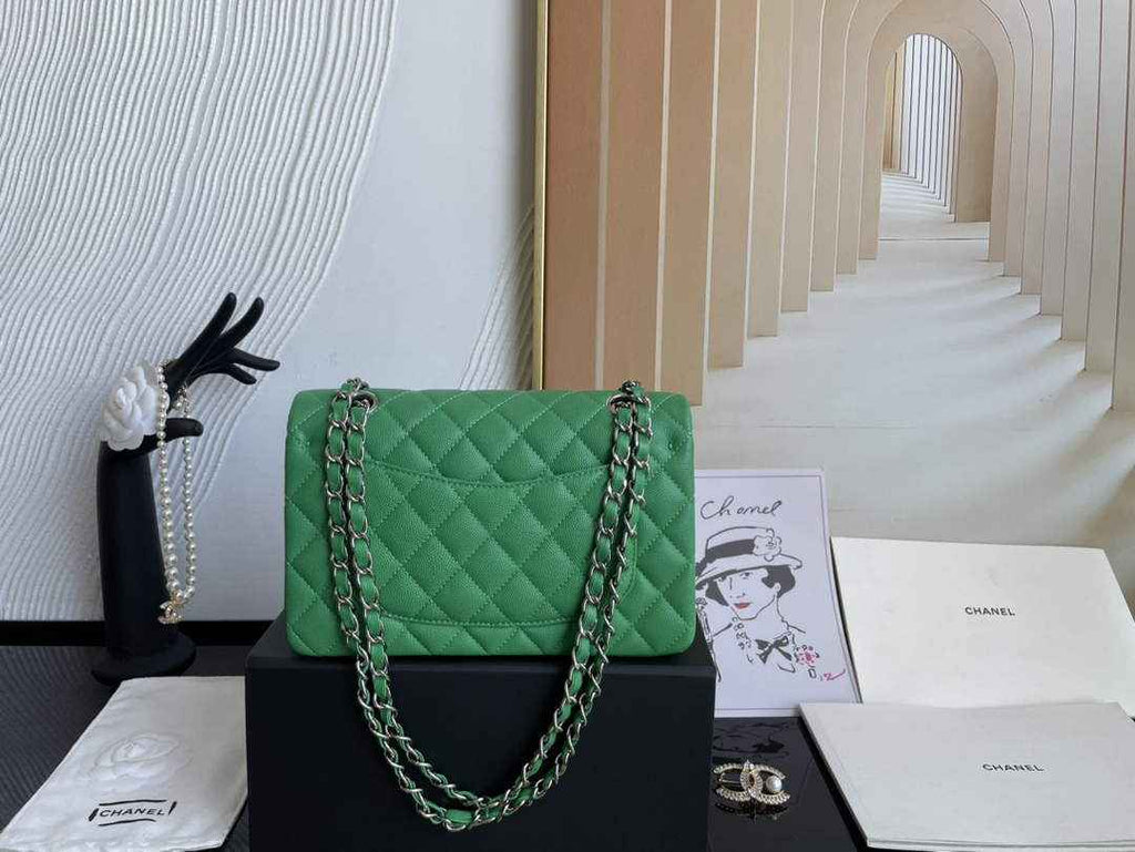 Chanel  A01113 Small Classic Handbag Grained Shiny Calfskin Green Silver