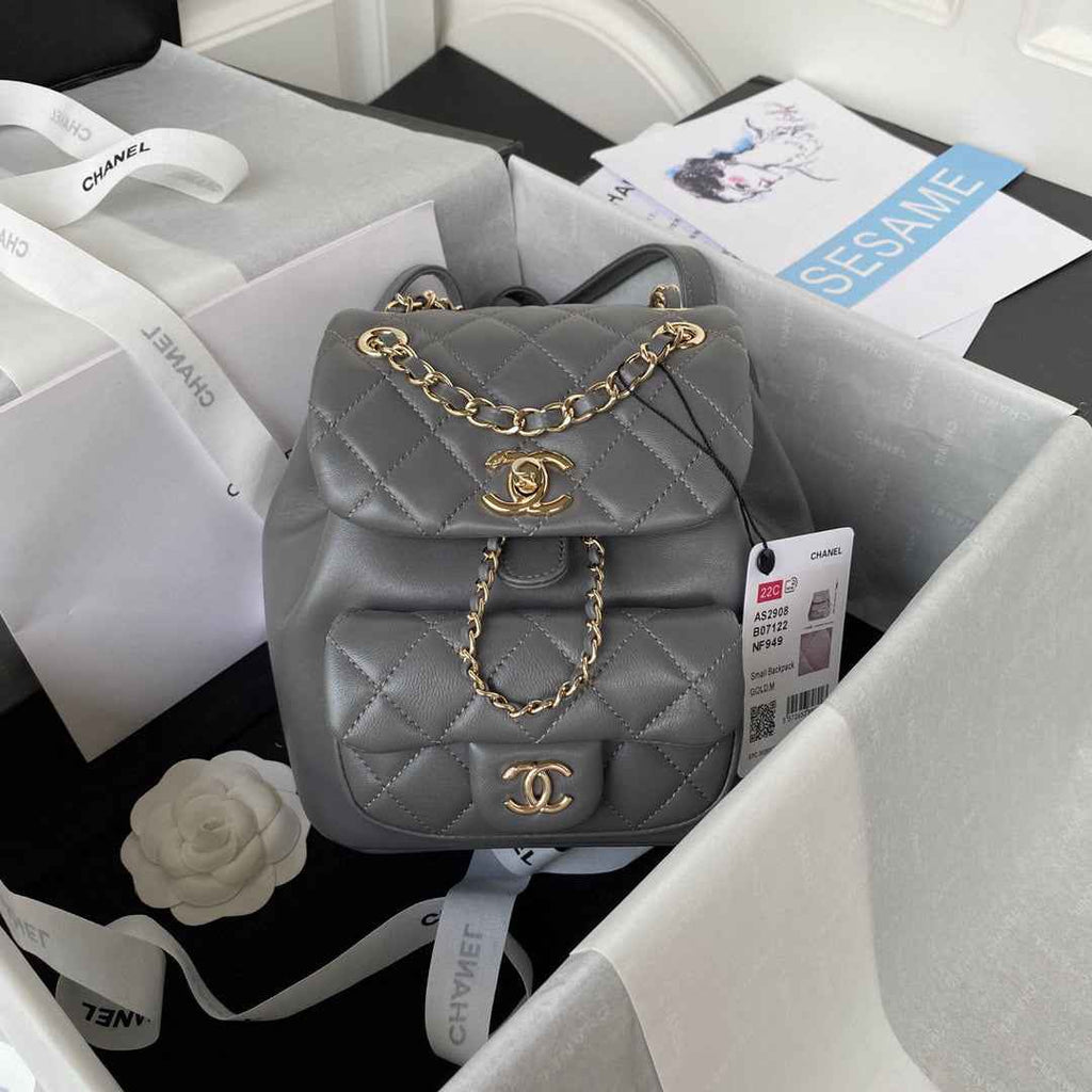Chanel AS2908 Backpack Duma Lambskin in Gray