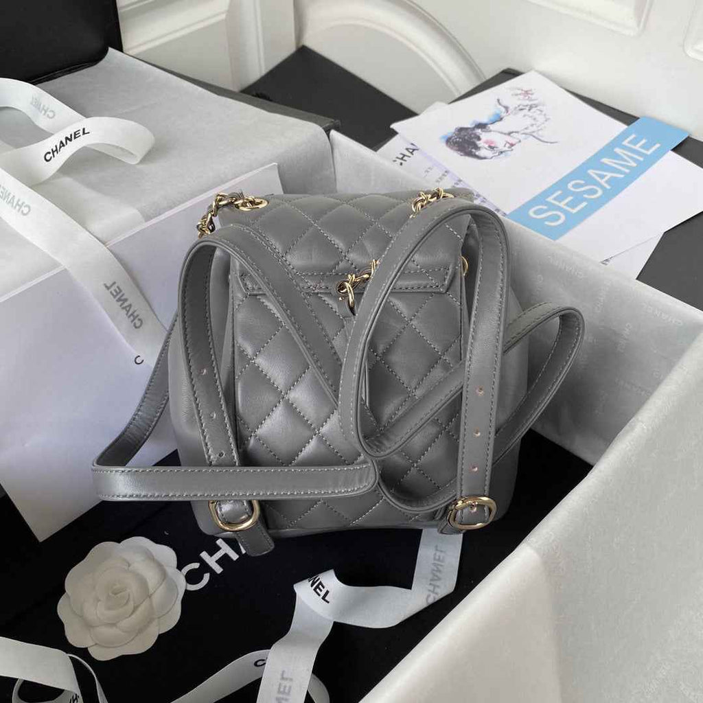 Chanel AS2908 Backpack Duma Lambskin in Gray