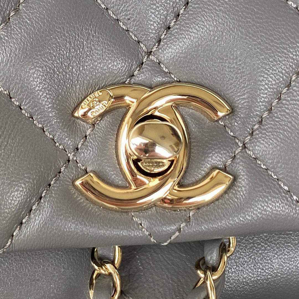 Chanel AS2908 Backpack Duma Lambskin in Gray