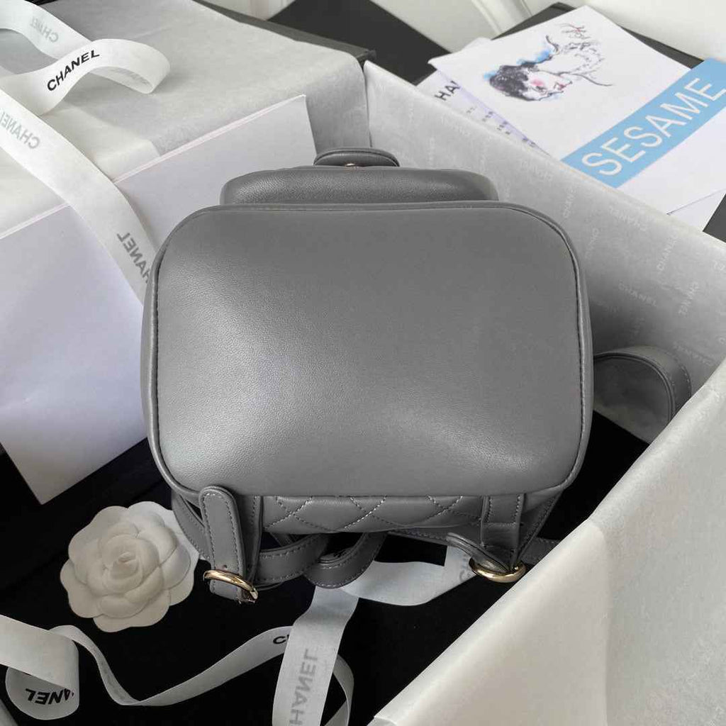 Chanel AS2908 Backpack Duma Lambskin in Gray