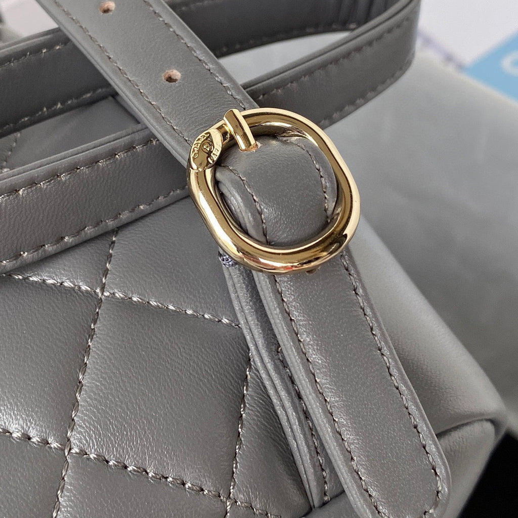 Chanel AS2908 Backpack Duma Lambskin in Gray