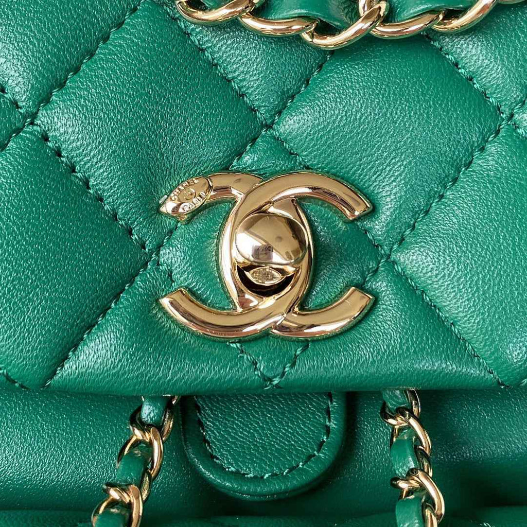 Chanel AS2908 Backpack Duma Lambskin in Green