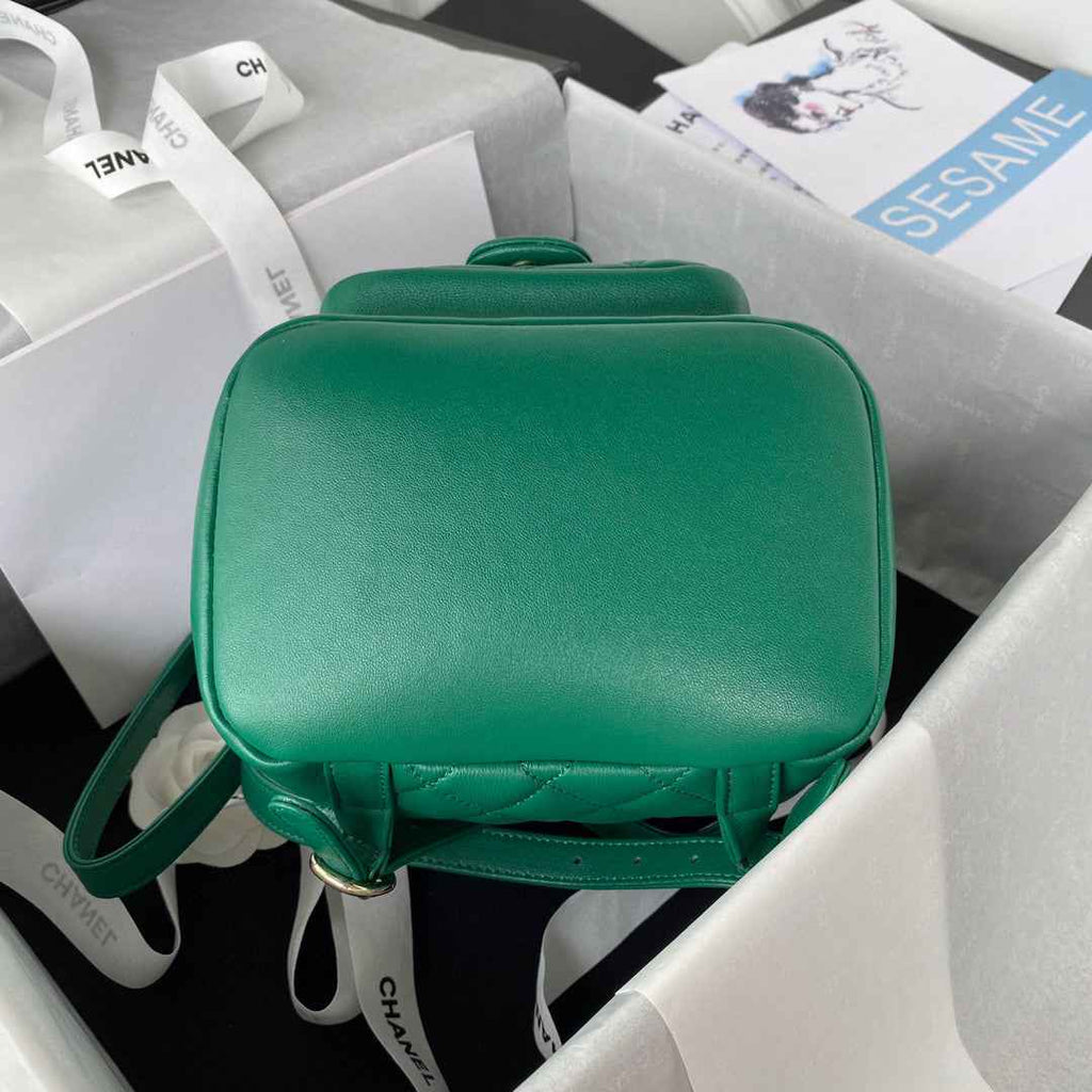 Chanel AS2908 Backpack Duma Lambskin in Green