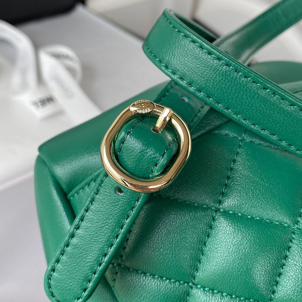 Chanel AS2908 Backpack Duma Lambskin in Green