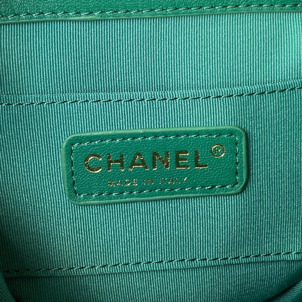 Chanel AS2908 Backpack Duma Lambskin in Green