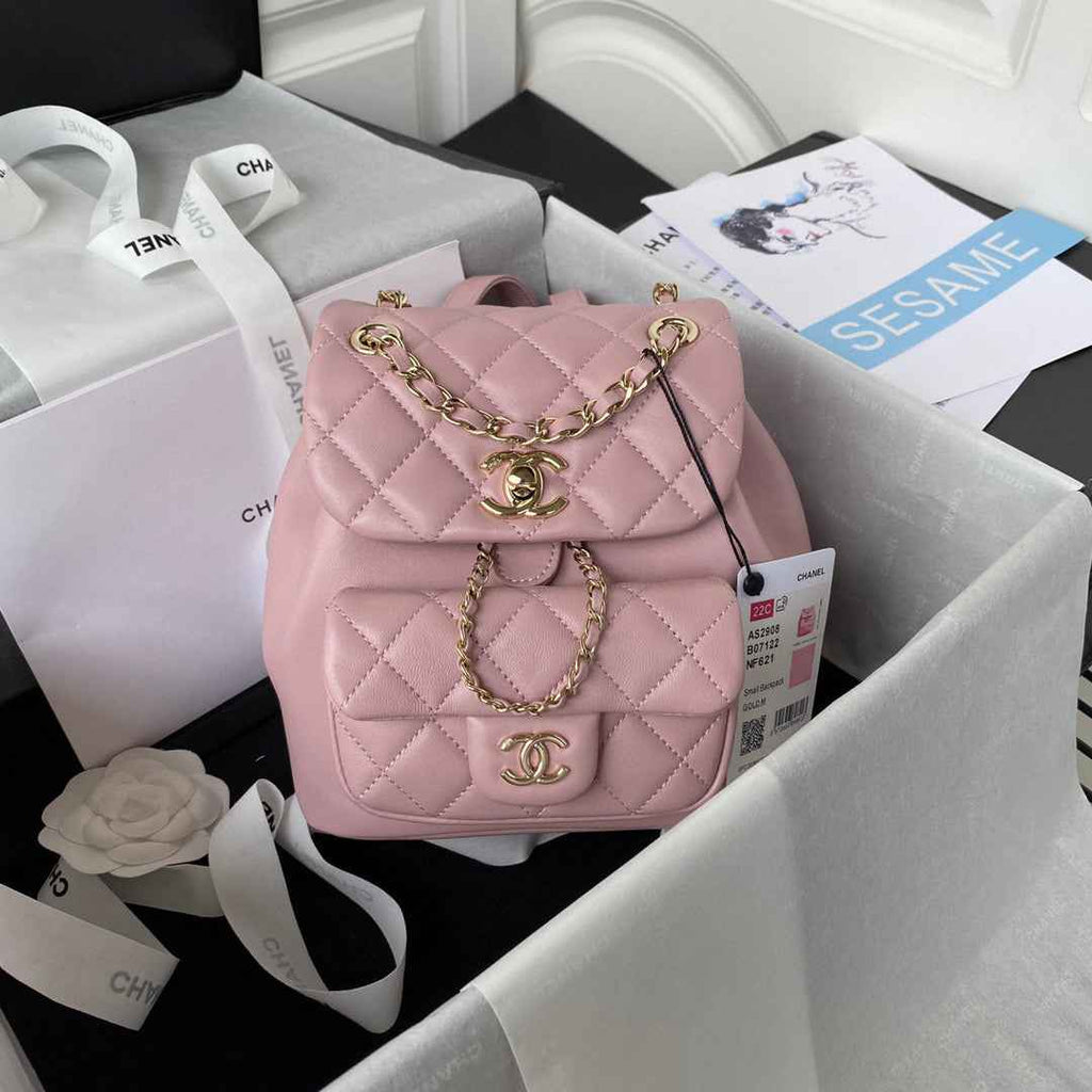 Chanel AS2908 Backpack Duma Lambskin in Pink