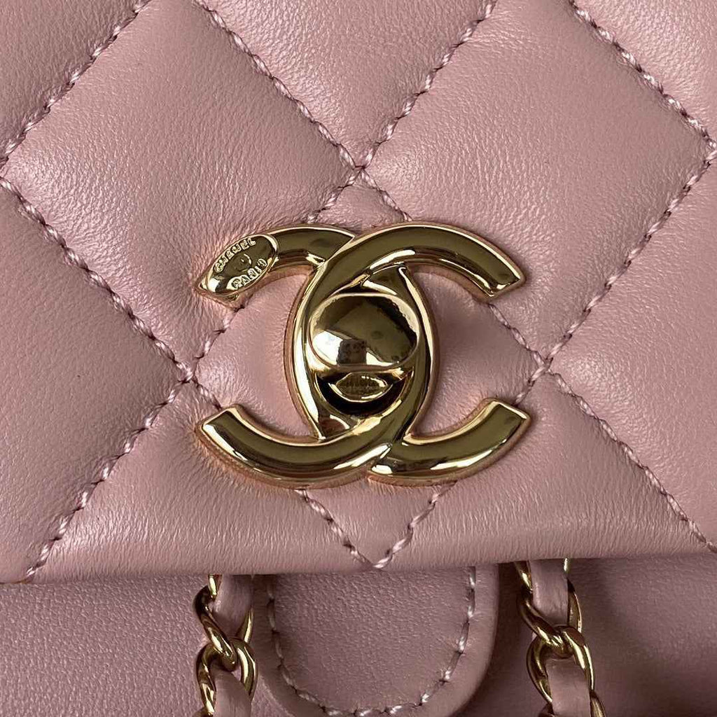 Chanel AS2908 Backpack Duma Lambskin in Pink