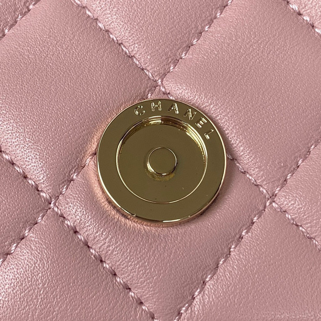 Chanel AS2908 Backpack Duma Lambskin in Pink