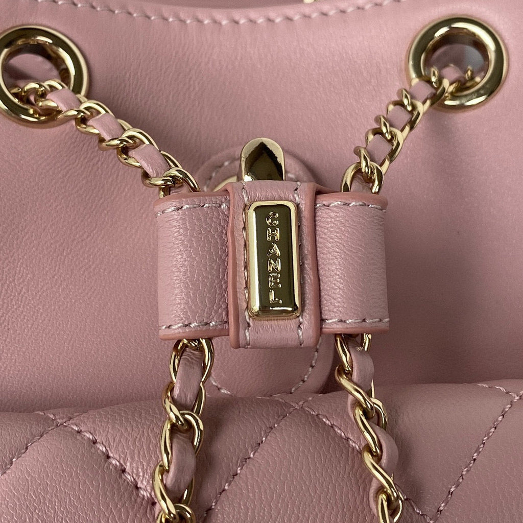 Chanel AS2908 Backpack Duma Lambskin in Pink