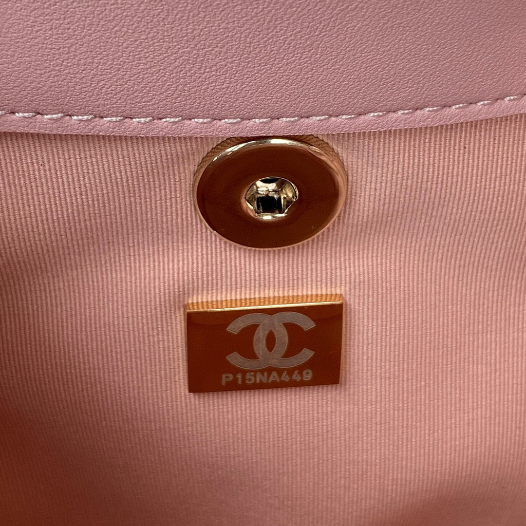 Chanel AS2908 Backpack Duma Lambskin in Pink