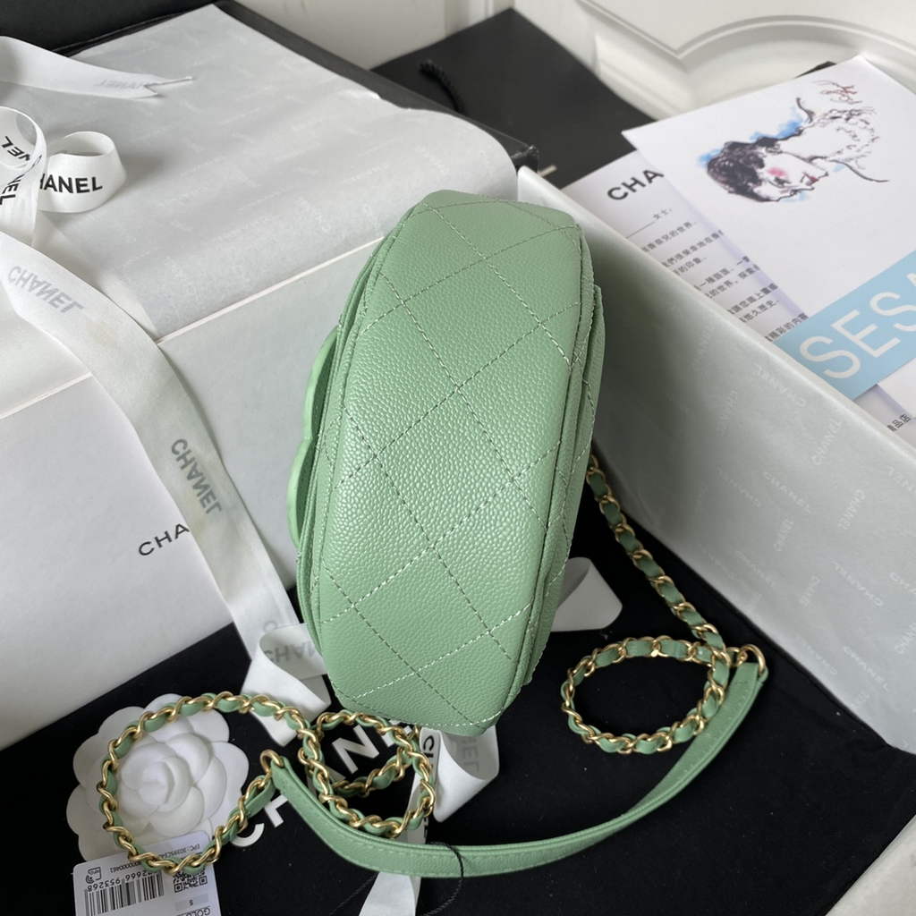 Chanel AS3867 Mini Messenger Bag Grained calfskin Green