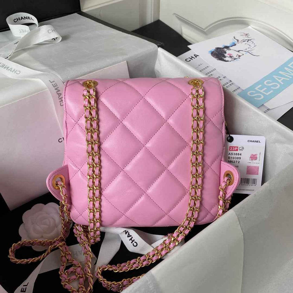 Chanel AS3884 Small Flap bag Lambskin gold-tone metal Pink