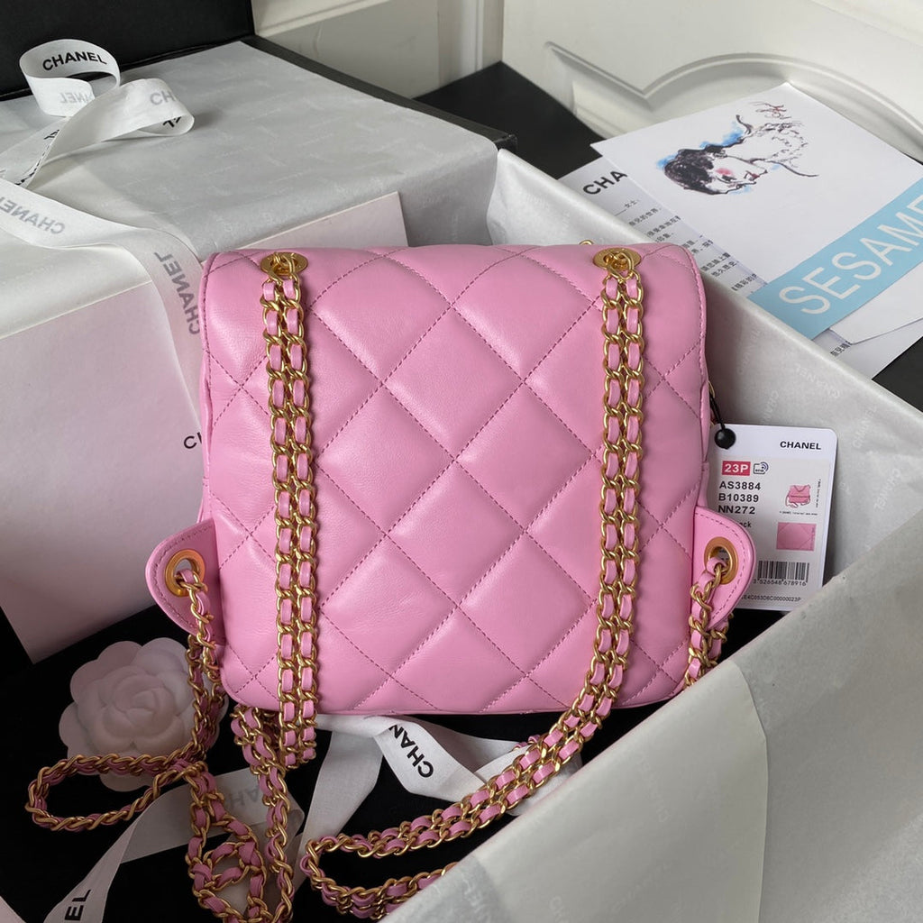 Chanel AS3884 Small Flap bag Lambskin gold-tone metal Pink