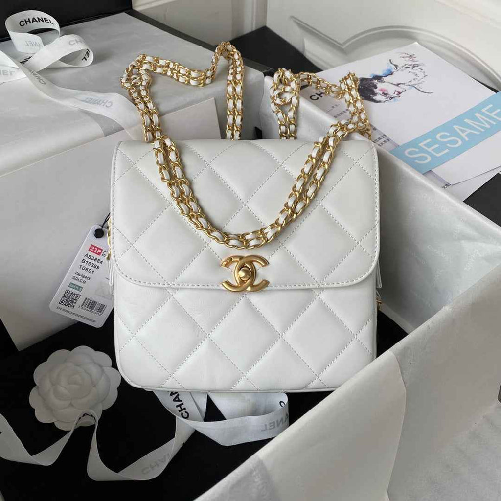 Chanel AS3884 Small Flap bag Lambskin gold-tone metal Beige