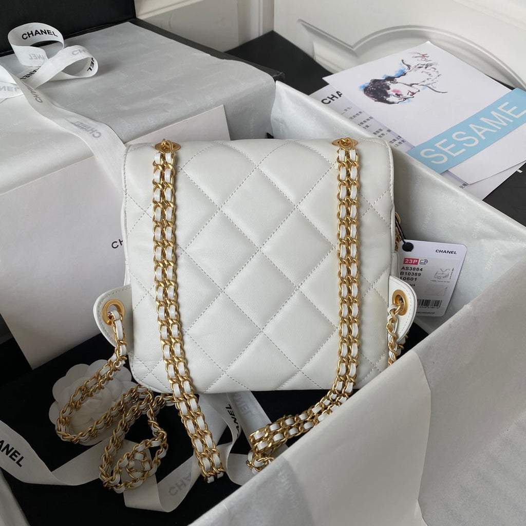 Chanel AS3884 Small Flap bag Lambskin gold-tone metal Beige