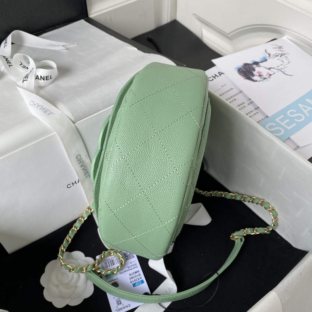 Chanel AS3919 Small Messenger Bag Grained calfskin Green