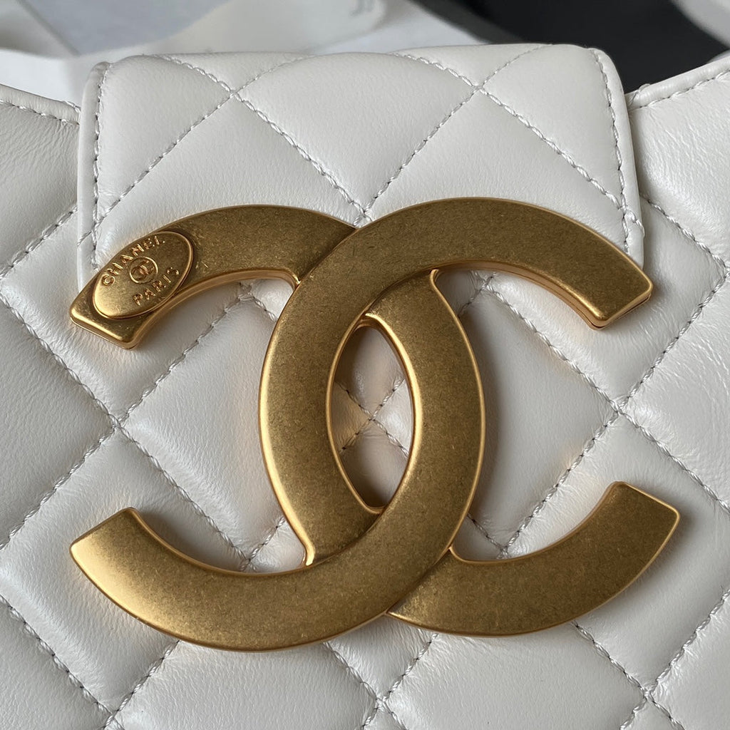 Chanel AS4610 Small messenger bag Lambskin gold-tone metal Beige