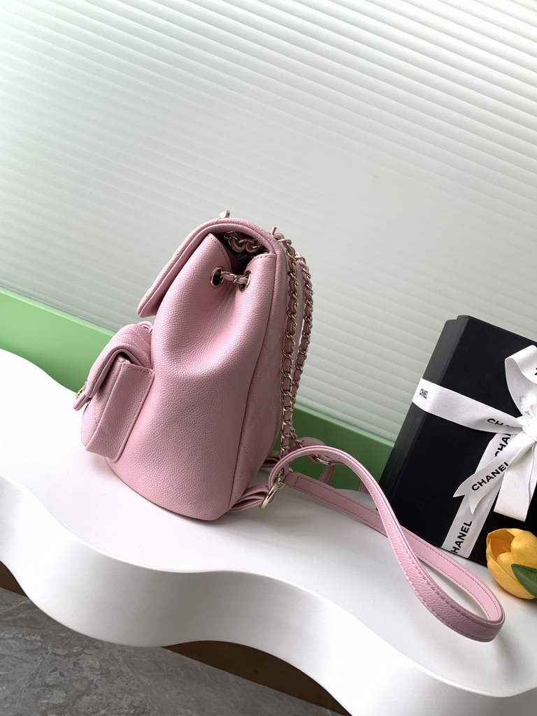Chanel AS3860 backpack Lambskin gold Pink