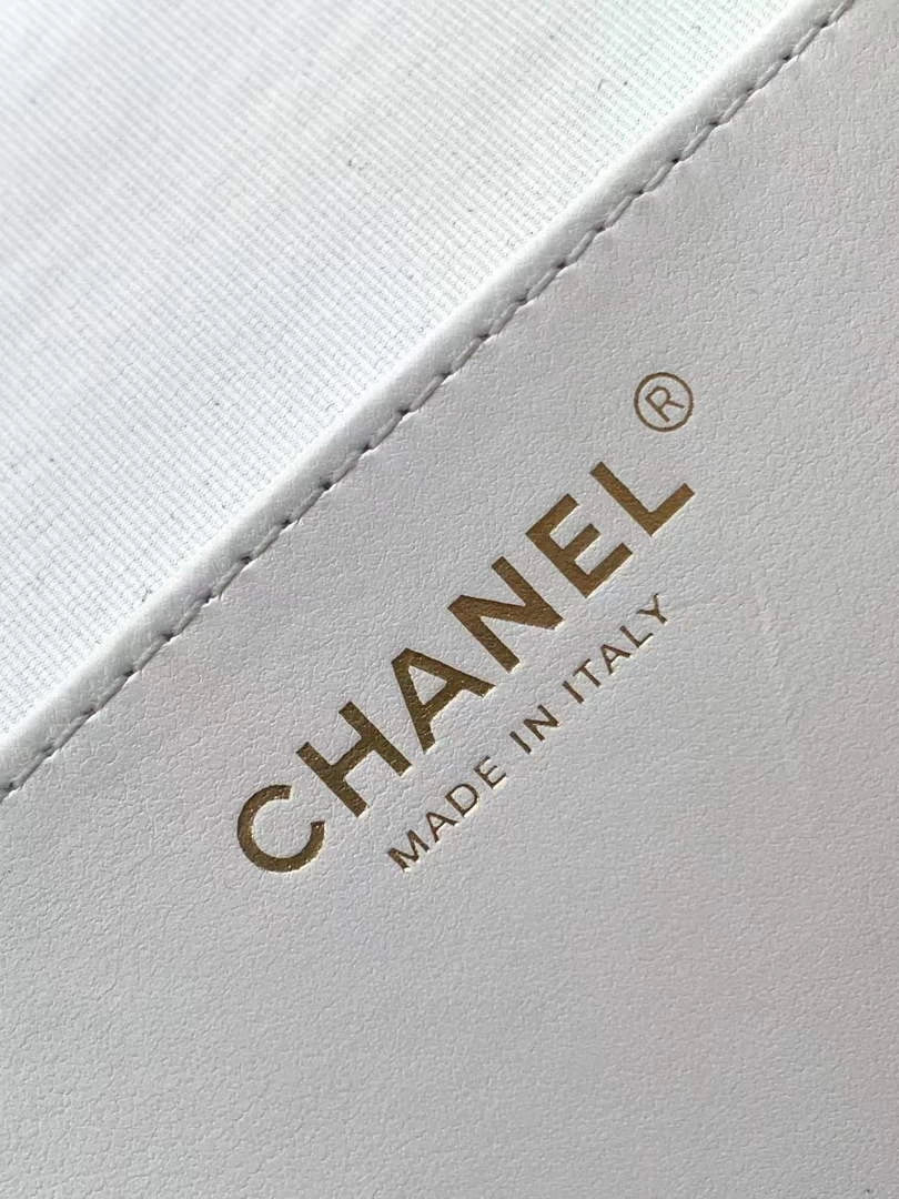 Chanel Large Backpack, Mesh, AS5492 shiny lambskin