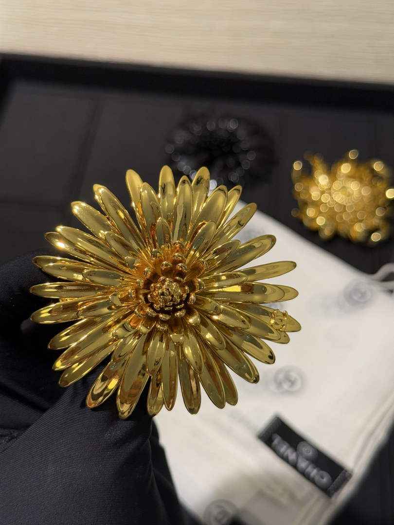 Chanel Brooch Jewelry ABH3251