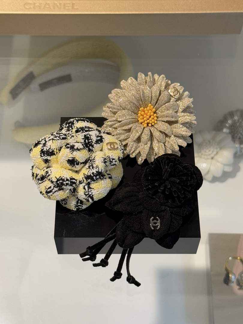 Chanel Brooch Jewelry ABH3253