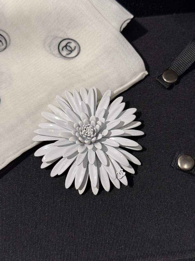 Chanel Brooch Jewelry ABH3257