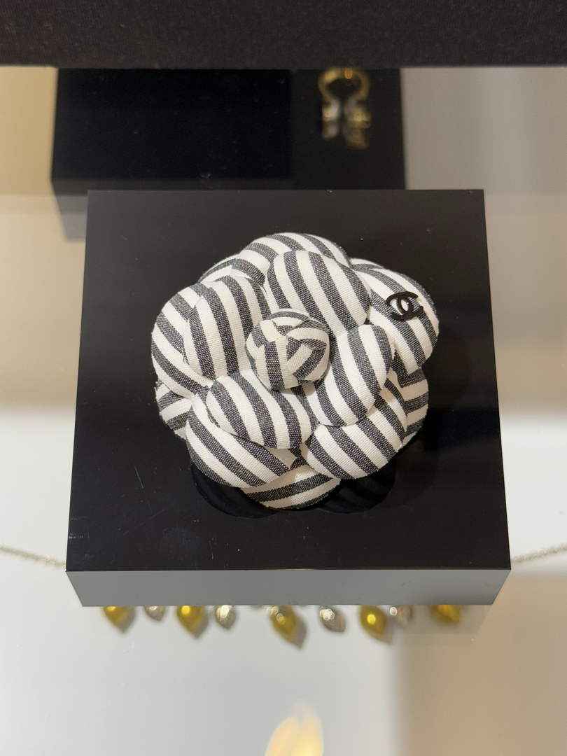 Chanel Brooch Jewelry ABH3265