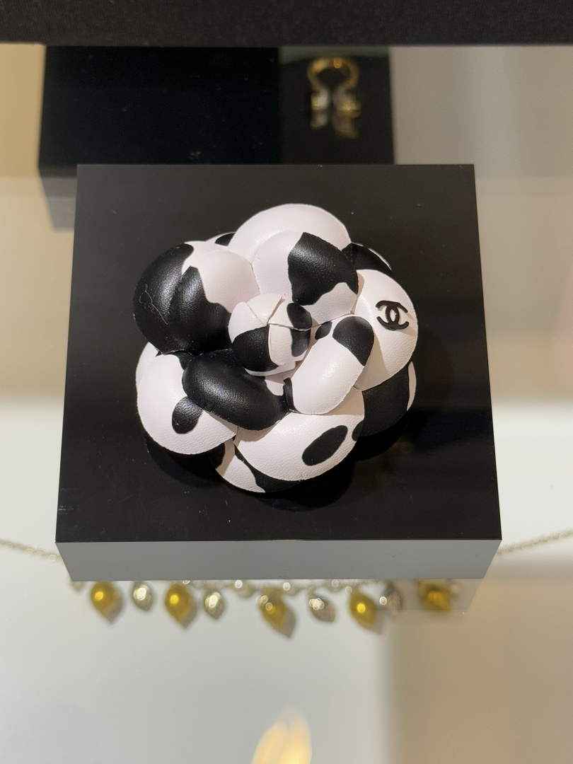 Chanel Brooch Jewelry ABH3266