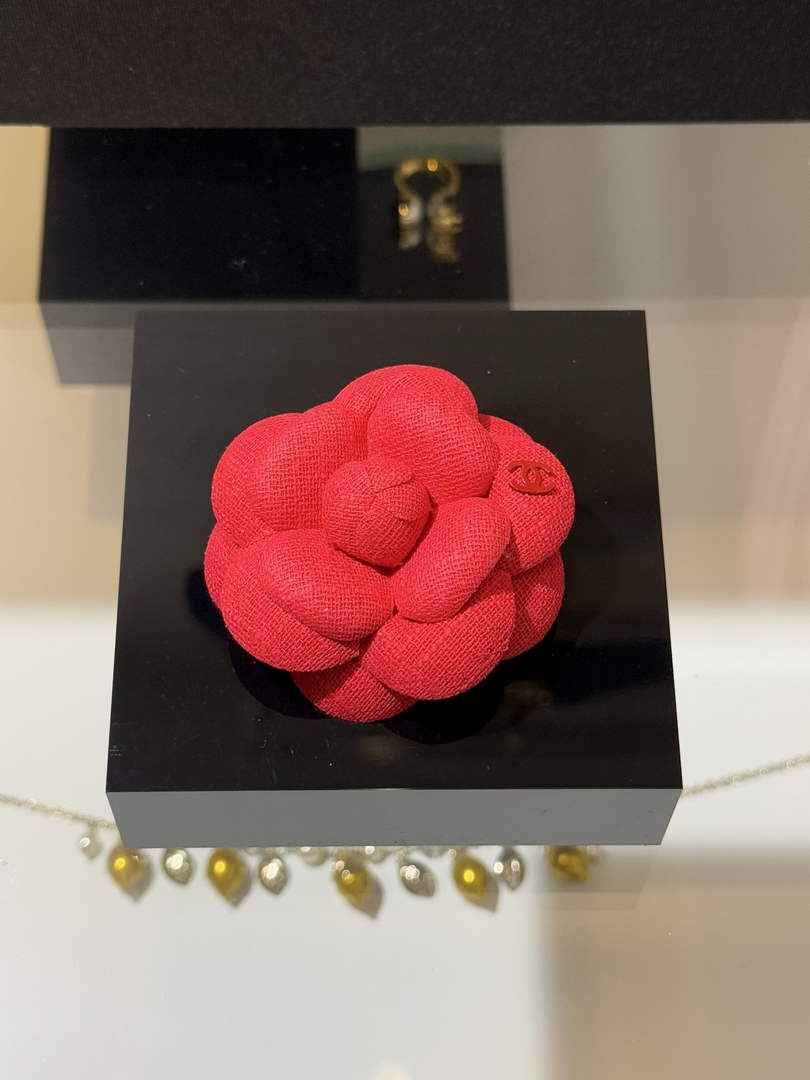 Chanel Brooch Jewelry ABH3268
