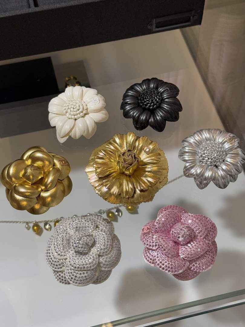 Chanel Brooch Jewelry ABH3269