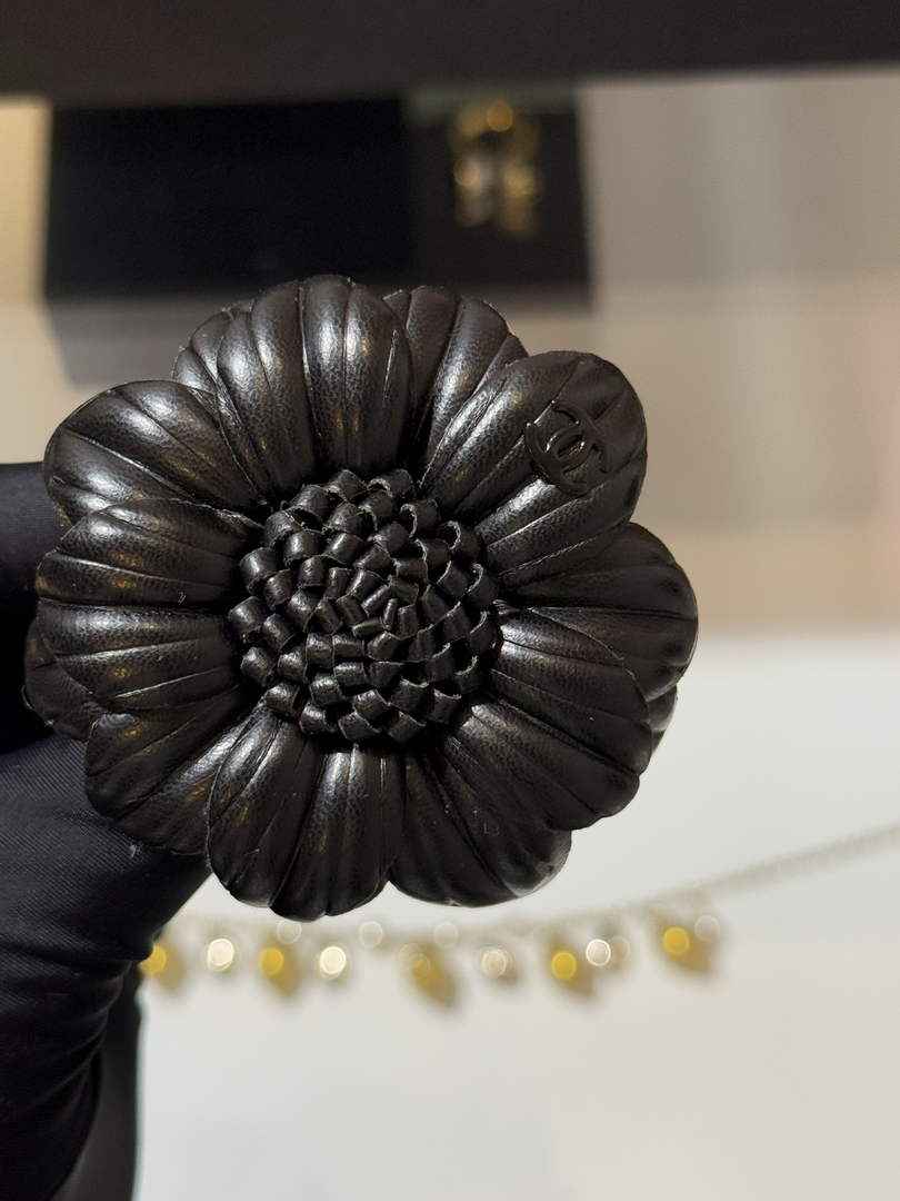 Chanel Brooch Jewelry ABH3272