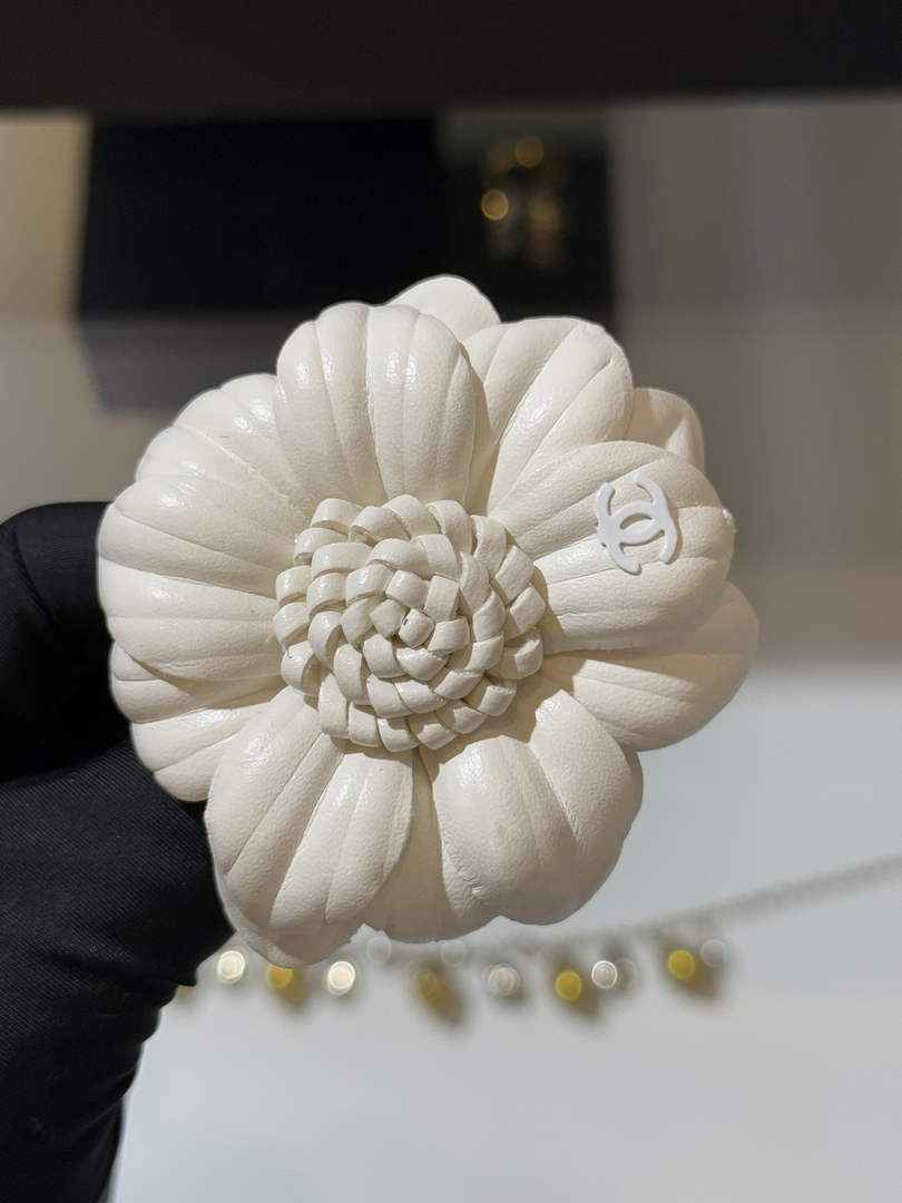 Chanel Brooch Jewelry ABH3273